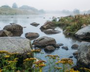 Littoral de rivière de Biya Voyage Russie - Sibérie - Littoral de rivière de Biya