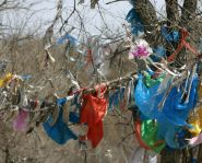 Oust Orda - Arbres à prières