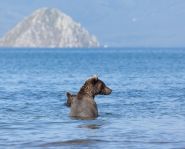 Kamtchatka - Lac Kouril