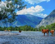 Voyage Altai, Rivière Tchulychmane | Tsar Voyages