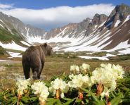 Voyage Kamtchatka - Monts Vatchkazhets