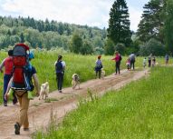 Randonnée avec chiens Huskys, Voyage Russie