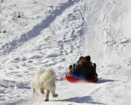 Bouée à neige - Huskys à Moscou