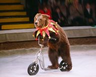 Grand Cirque de Moscou
