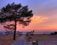 Visite Saint-Pétersbourg - Plages du Golfe de Finlande