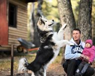 Voyage Russie - Husky, dog trekking à Saint Pétersbourg