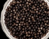Visite autour de Moscou - Ferme piscicole d'esturgeons et dégustation de caviar noir