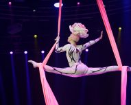 Grand Cirque de Moscou