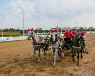 Visite hippodrome - Hippodrome de Moscou