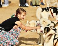Randonnée avec chiens Huskys, Voyage Russie