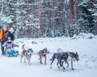 Saint Petersbourg - Chiens de traineau et shashliks