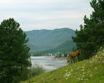 Voyage Russie, Altai - Lac Teletskoie