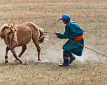 Mongolie - Vallée de l’Orkhon