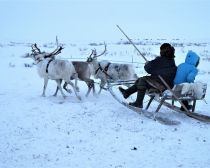 Week-end dans l'Arctique - Nénétsie
