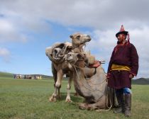 Mongolie - Eleveur de chameaux