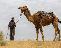 Voyage Ouzbékistan - Nourata - Balade en chameau