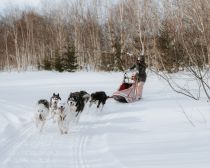 Voyage Kamtchatka Hiver - Balade en Chiens de Traîneau