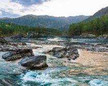 Voyage Altai - Vallée de Tchemal © Shutterstock