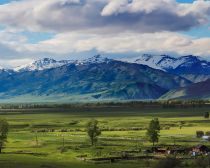 Vallée d'Oust-Koksa, Altai