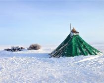 Week-end dans l'Arctique - Nénétsie