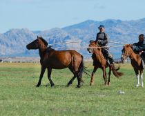 Mongolie - Vallée de l’Orkhon