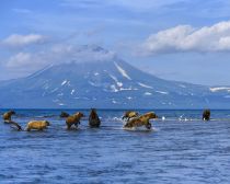 Kamtchatka - Lac Kouril