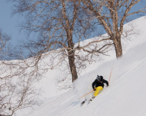 Freeride en forêt, Kamtchatka