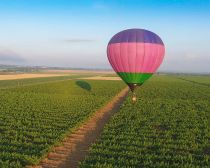 Voyage Autour de Krasnodar - Péninsule de Tamagne - Domaine viticole © Kuban-Vino