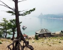 Lac Baïkal - Arbres sur pilotis