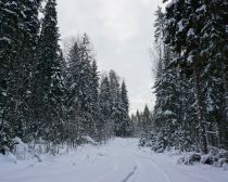 Parc National Kenozero