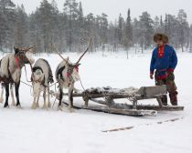 Voyage Péninsule de Kola - Lovozero