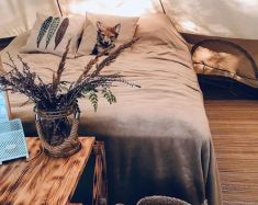 Glamping en Carélie - Shanti Home