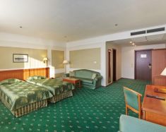 Borodino Hôtel Moscou - Borodino