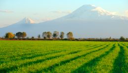 Voyage Arménie - Mont Ararat