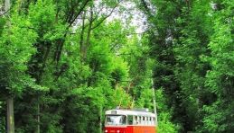 Visite autour de Saint-Pétersbourg - Tram 36