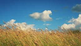 Russie - campagne
