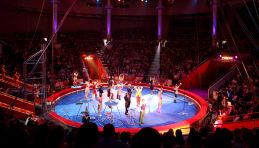 Spectacle Moscou - Cirque Nikouline