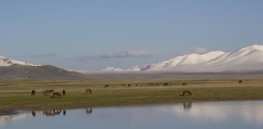 Voyage Kirghizistan - Lac Son-Kul