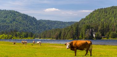 Voyage à Altai, Artybash | Tsar Voyages