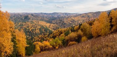 Sur la montagne Belokurika Voyage Russie - Sibérie, Altaï - Sur la montagne Belokurika