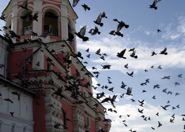 Voyage Moscou - Monastère Danilovski