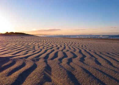 Visite Saint-Pétersbourg - Plage du golfe de Finlande