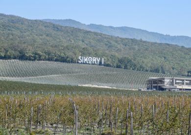 Domaine de Sikory - Région de Krasnodar