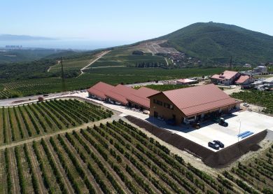 Château Pinot - Région de Krasnodar